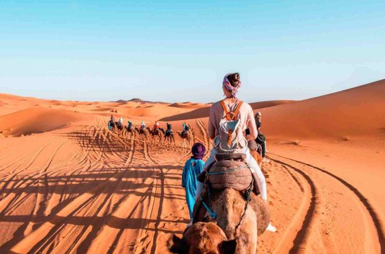 Expert Guides Making Your Moroccan Journey Effortless