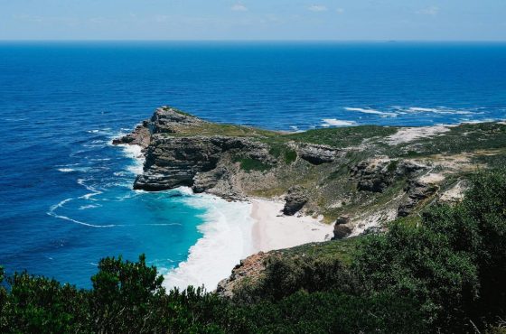 Cape Town and Kruger: Explore iconic coastlines, and wildlife encounters