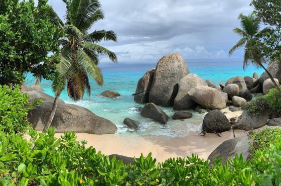 Discover the Pearls of Africa: Kenya and Seychelles in Luxury Style