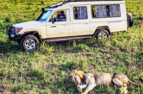 Legacy of the Land and Sea: From Safari Wonders to Swahili Shores