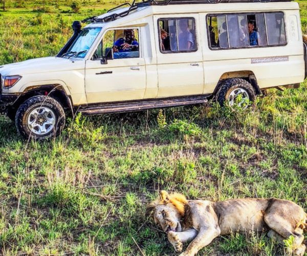 Legacy of the Land and Sea: From Safari Wonders to Swahili Shores