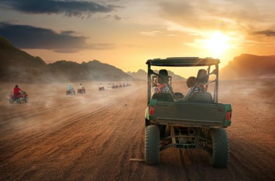 Pharaohs to Plains: A Luxury Egypt and Kenya Tour Adventure Safari