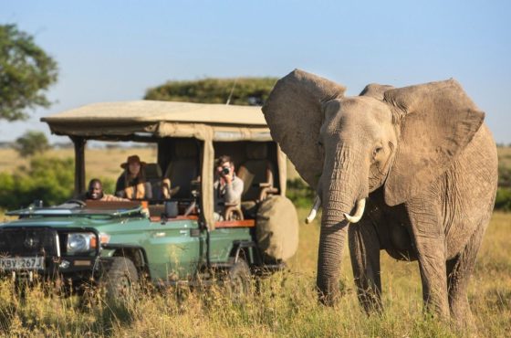 Wild Wonders and Wine: A Southern Africa Odyssey Elite Tour
