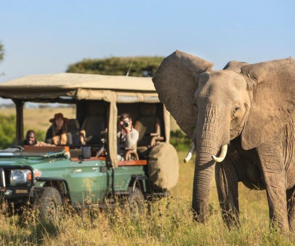 Wild Wonders and Wine: A Southern Africa Odyssey Elite Tour