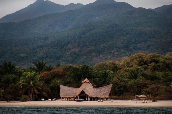 4-Days Ultimate Mahale Chimpanzee & Lake Safari