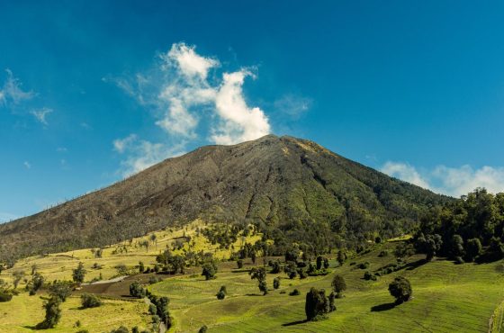 4-Day Rwanda Signature Safari Volcanoes & Akagera
