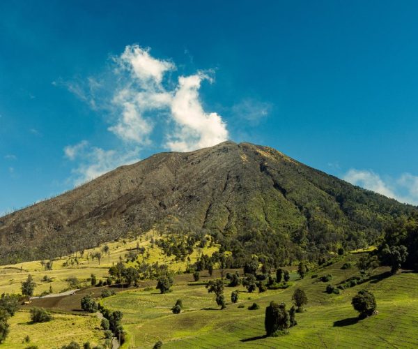 4-Day Rwanda Signature Safari Volcanoes & Akagera