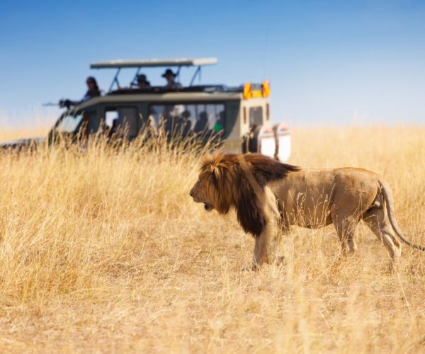 The Royal Kenya Wildlife Experience Amboseli, Lake Naivasha and Masai Mara