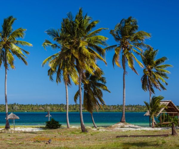 10 Days Luxury Southern Circuit Safari with Mafia Island Bliss
